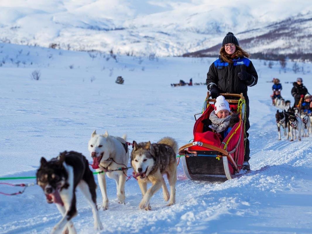 Hanh trinh vuot nui tuyet cung cho keo xe o Bac Cuc the nao? hinh anh