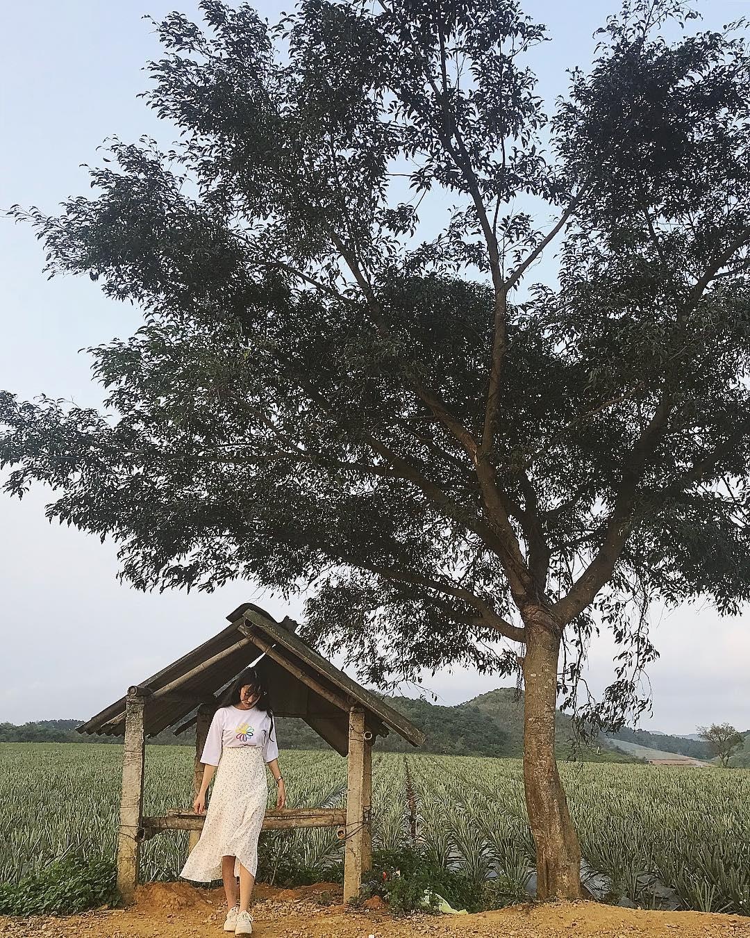 diem du lich quanh mien Bac anh 7