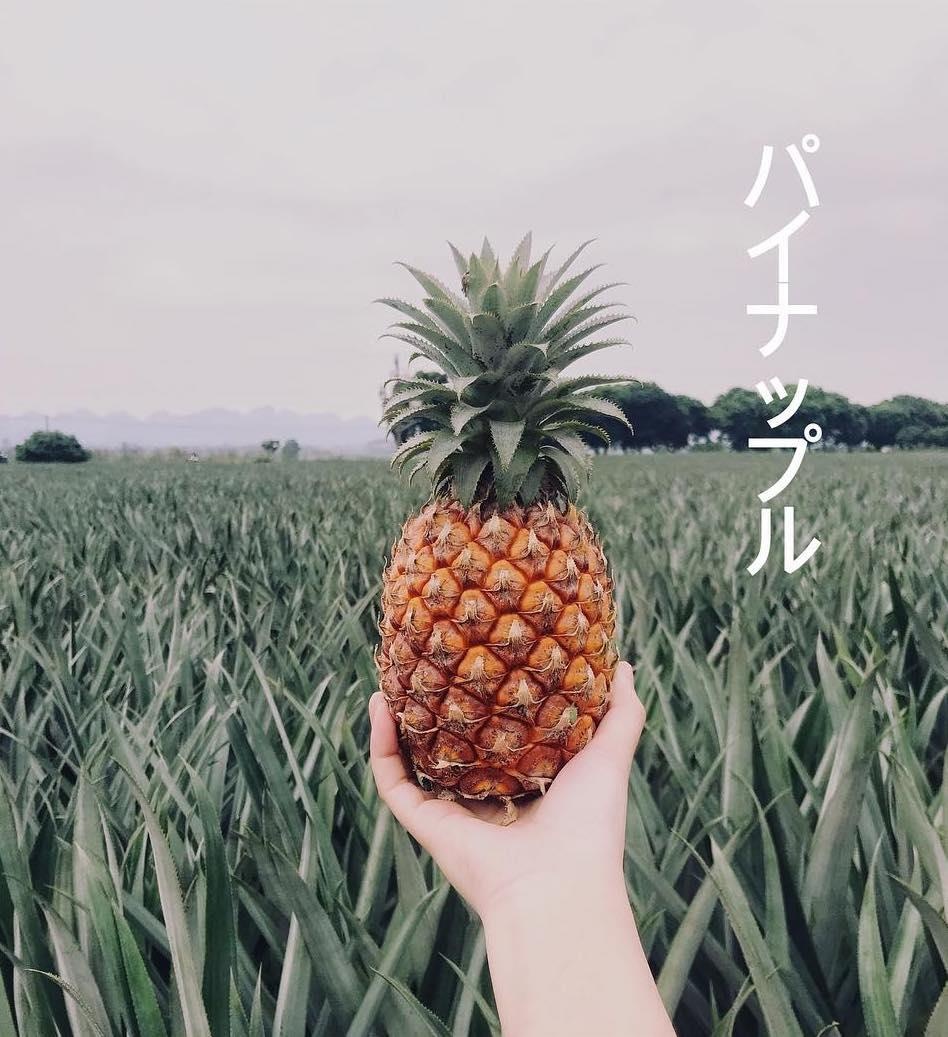 diem du lich quanh mien Bac anh 10