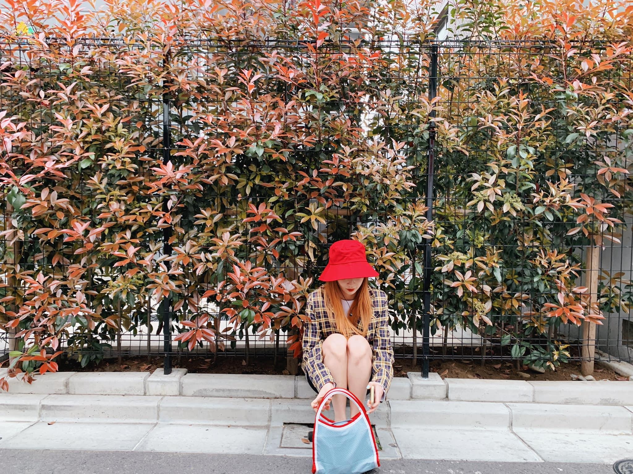 Pho - Sun HT du lich Nhat Ban anh 5