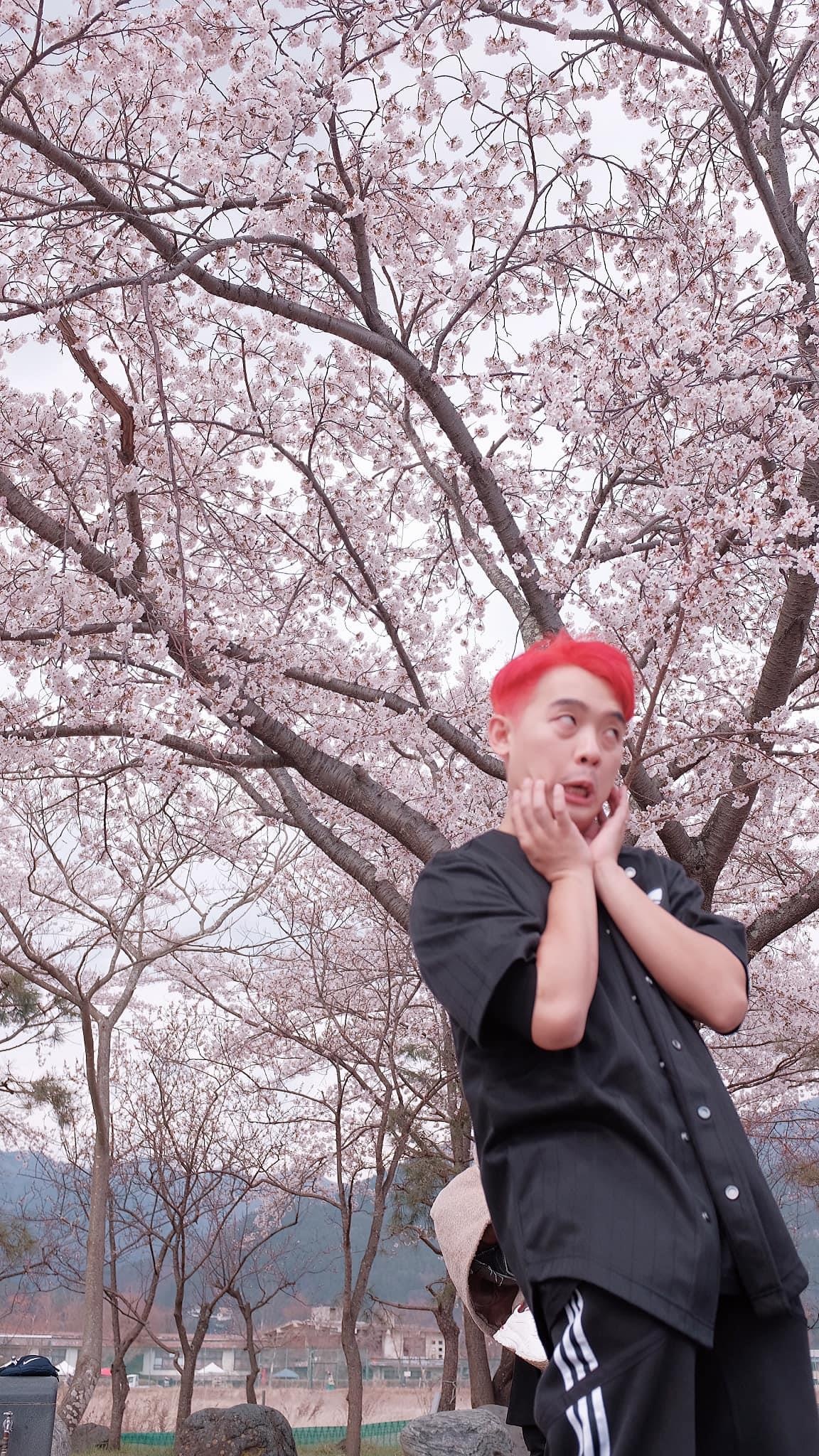 Pho - Sun HT du lich Nhat Ban anh 10