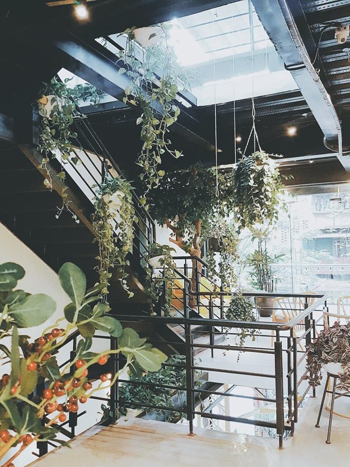 ca phe cay o Ha Noi anh 2