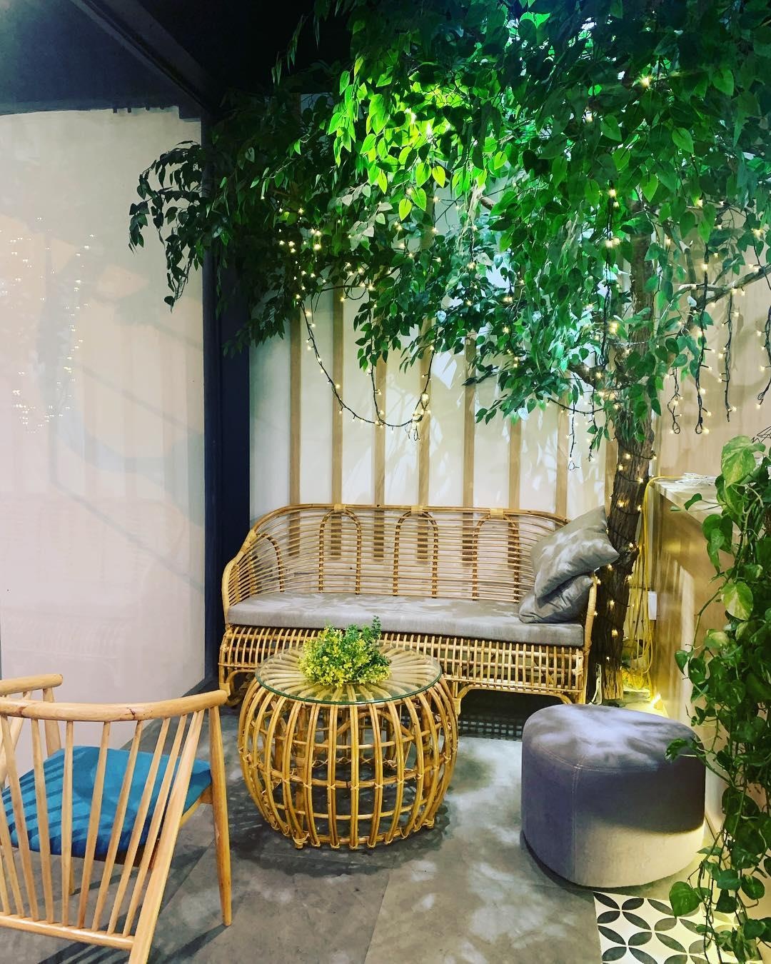 ca phe cay o Ha Noi anh 5