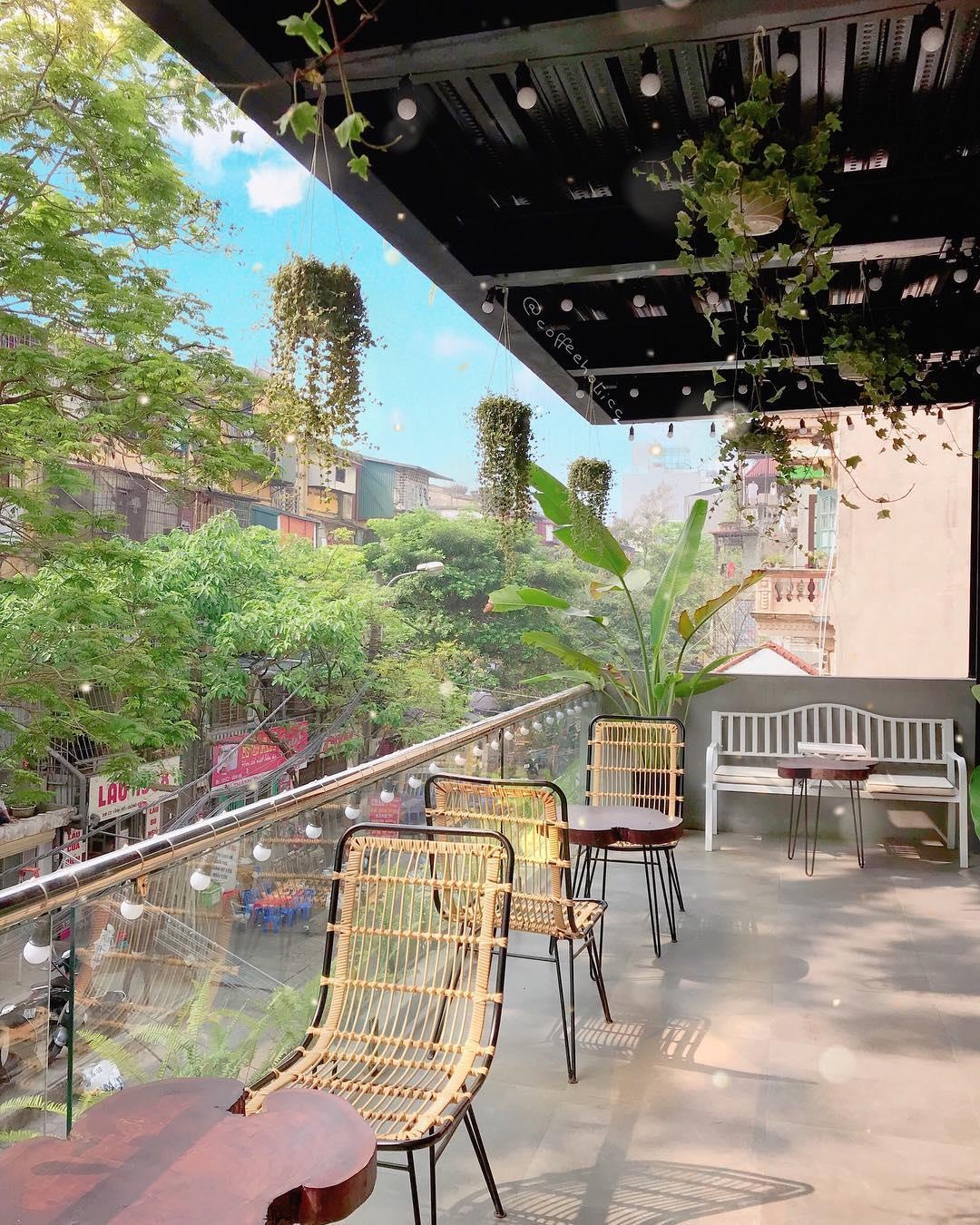 ca phe cay o Ha Noi anh 7