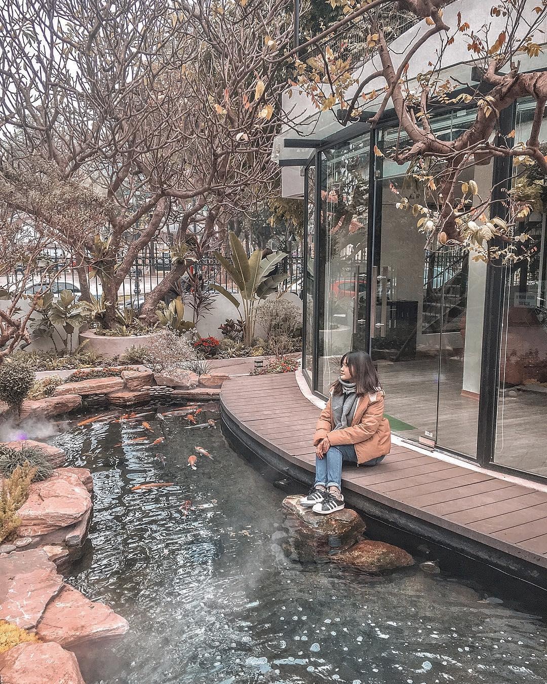 ca phe cay o Ha Noi anh 14