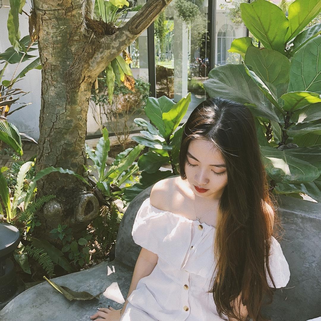 ca phe cay o Ha Noi anh 16