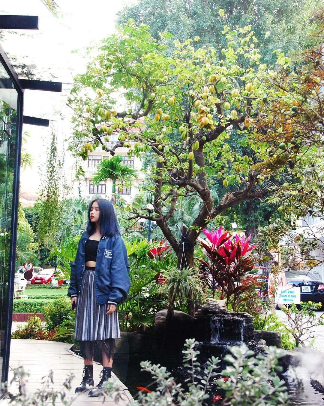 ca phe cay o Ha Noi anh 17