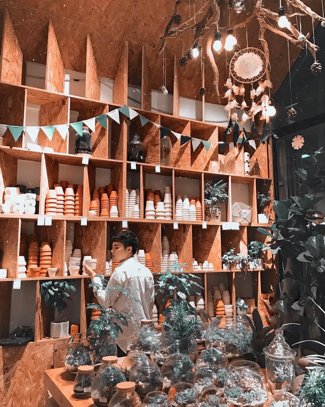 ca phe cay o Ha Noi anh 8