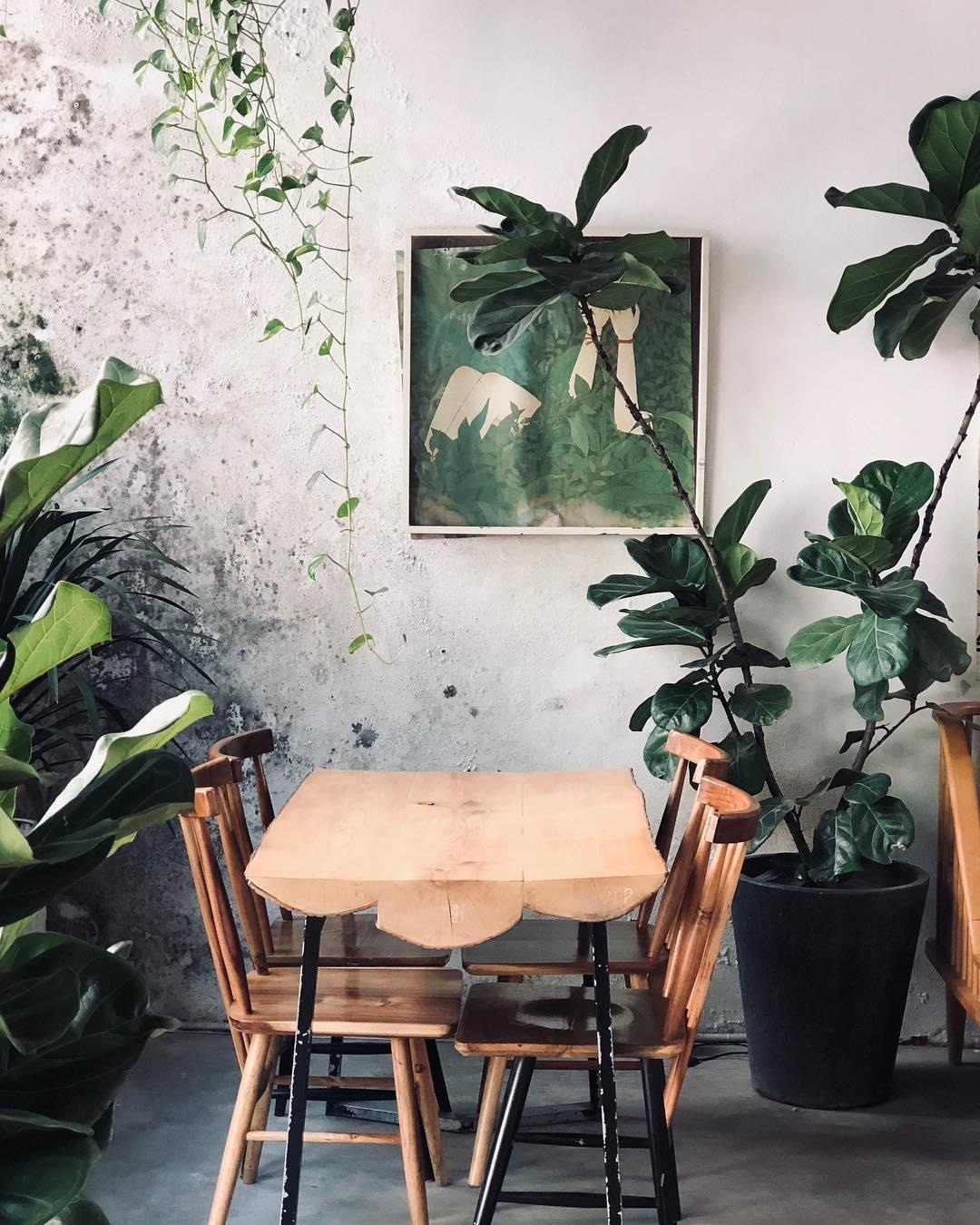 ca phe cay o Ha Noi anh 11