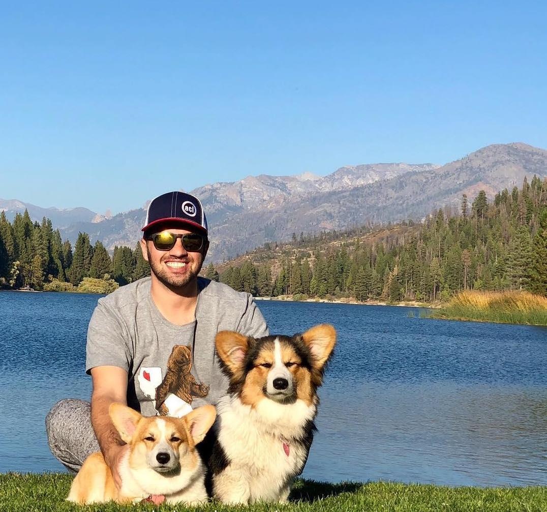 2 cho corgi di du lich anh 19