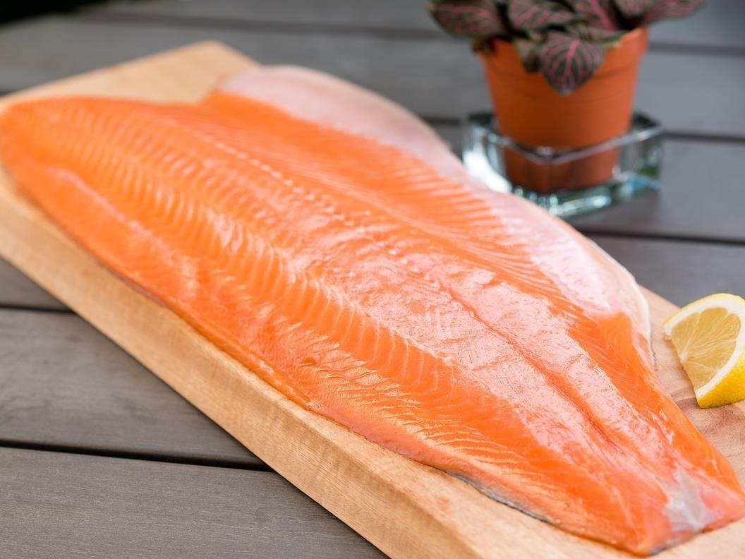 May cat phi le ca hoi tu dong chuan xac tung li hinh anh