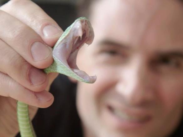 'Di nhan' tu tiem noc ran doc vao co the suot 28 nam hinh anh