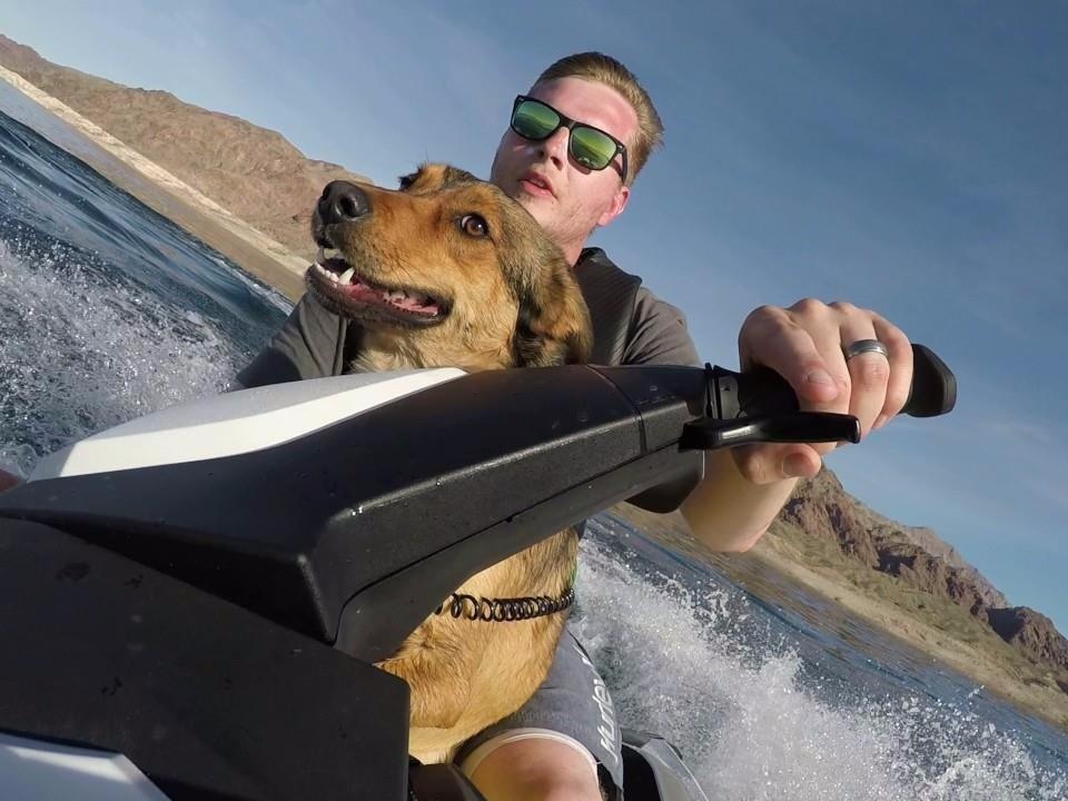 Cho hanh phuc di moto nuoc mao hiem cung chu hinh anh