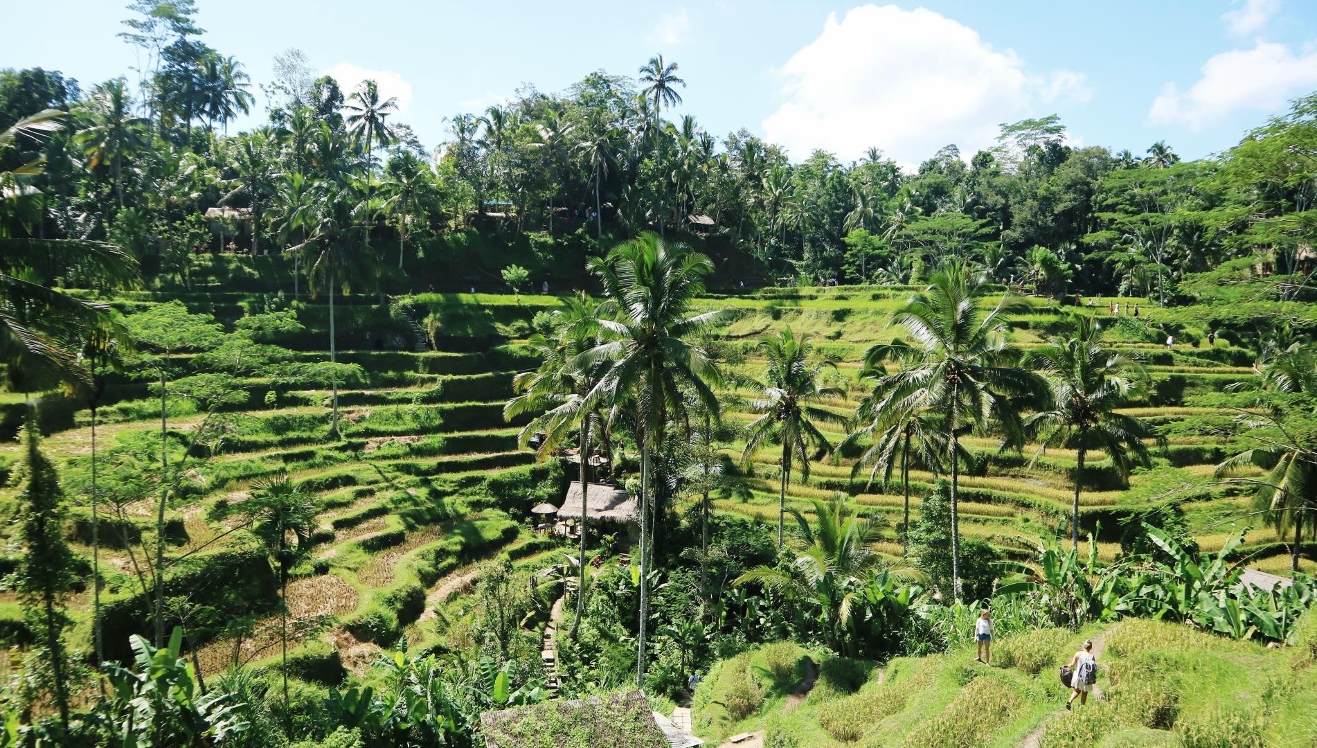 lich trinh kham pha Bali anh 16