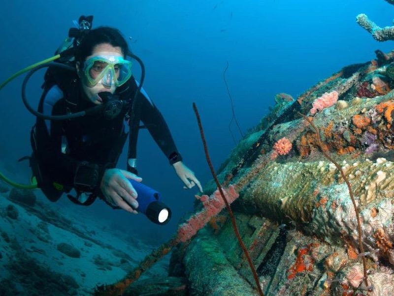 Day bien hut hai tac o Curacao dep the nao? hinh anh