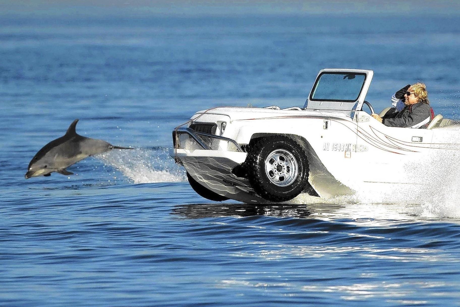 Oto di tren mat nuoc gia gan 200.000 USD cho nguoi yeu mao hiem hinh anh