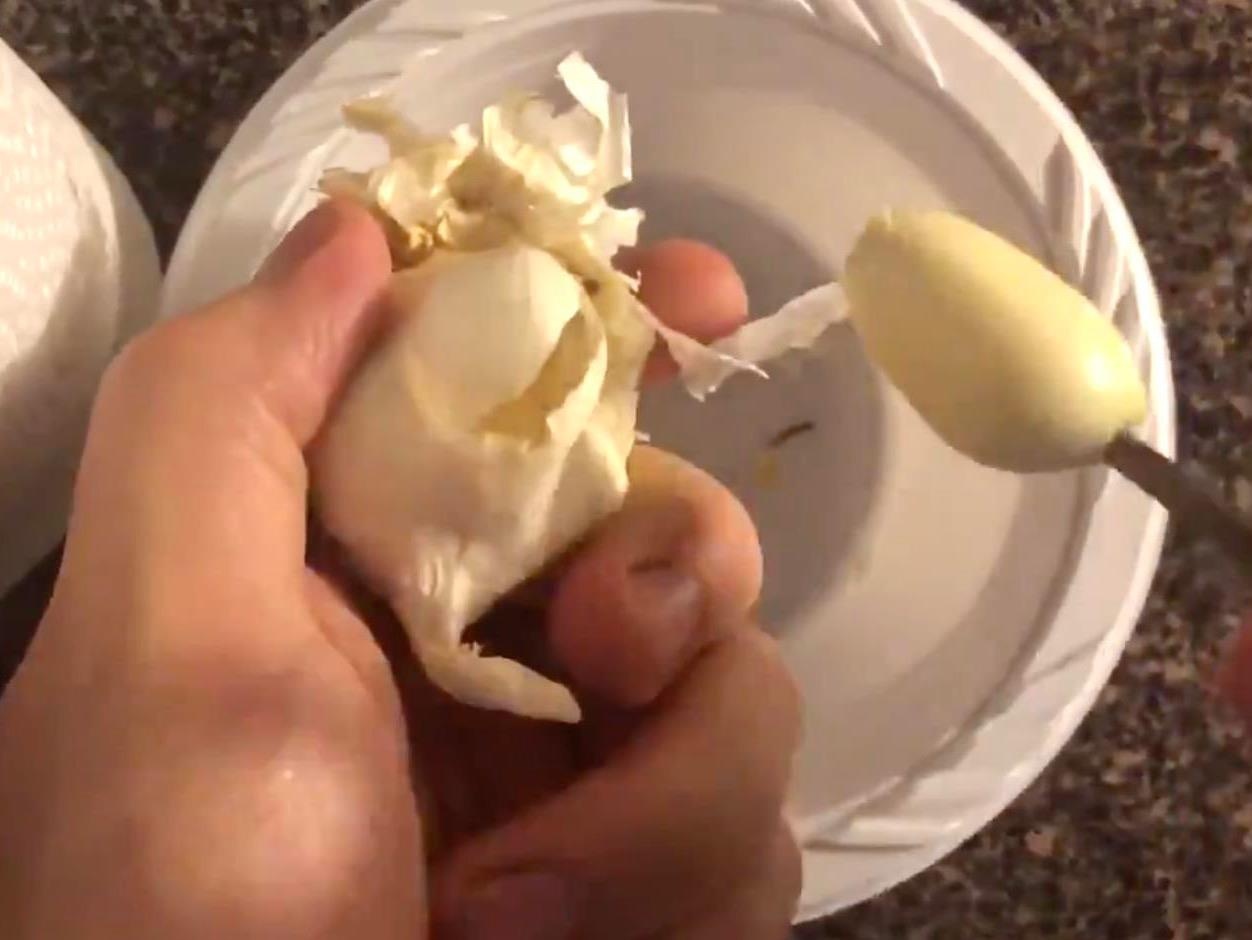 Clip meo boc toi than toc trong mot giay hut 22 trieu luot xem hinh anh