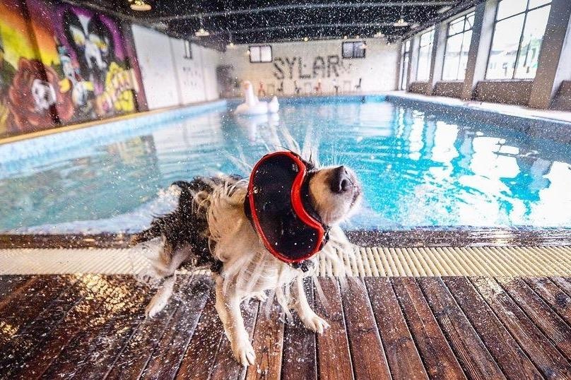 Biet thu hon nua trieu USD cua cho giup chu kiem bon tien hinh anh