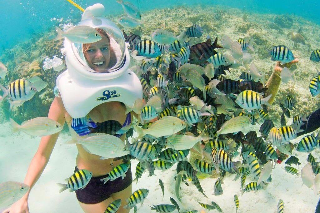 Trai nghiem di bo voi ca, rua va ngam ve dep duoi day bien hinh anh