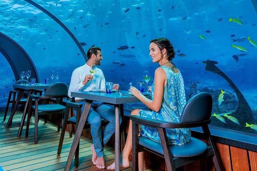 Trai nghiem o khach san duoi day bien gia 50.000 USD/dem hinh anh