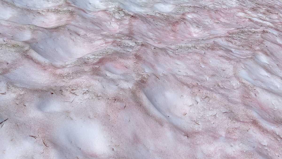 hien tuong tuyet dua hau tai Yosamite anh 2