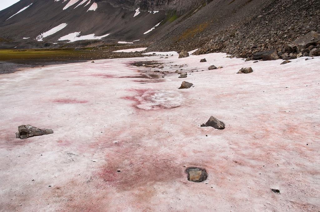 hien tuong tuyet dua hau tai Yosamite anh 6