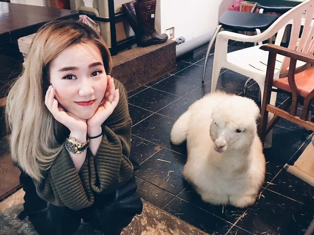 Quan ca phe lac da sieu de thuong hut khach o Dai Loan hinh anh