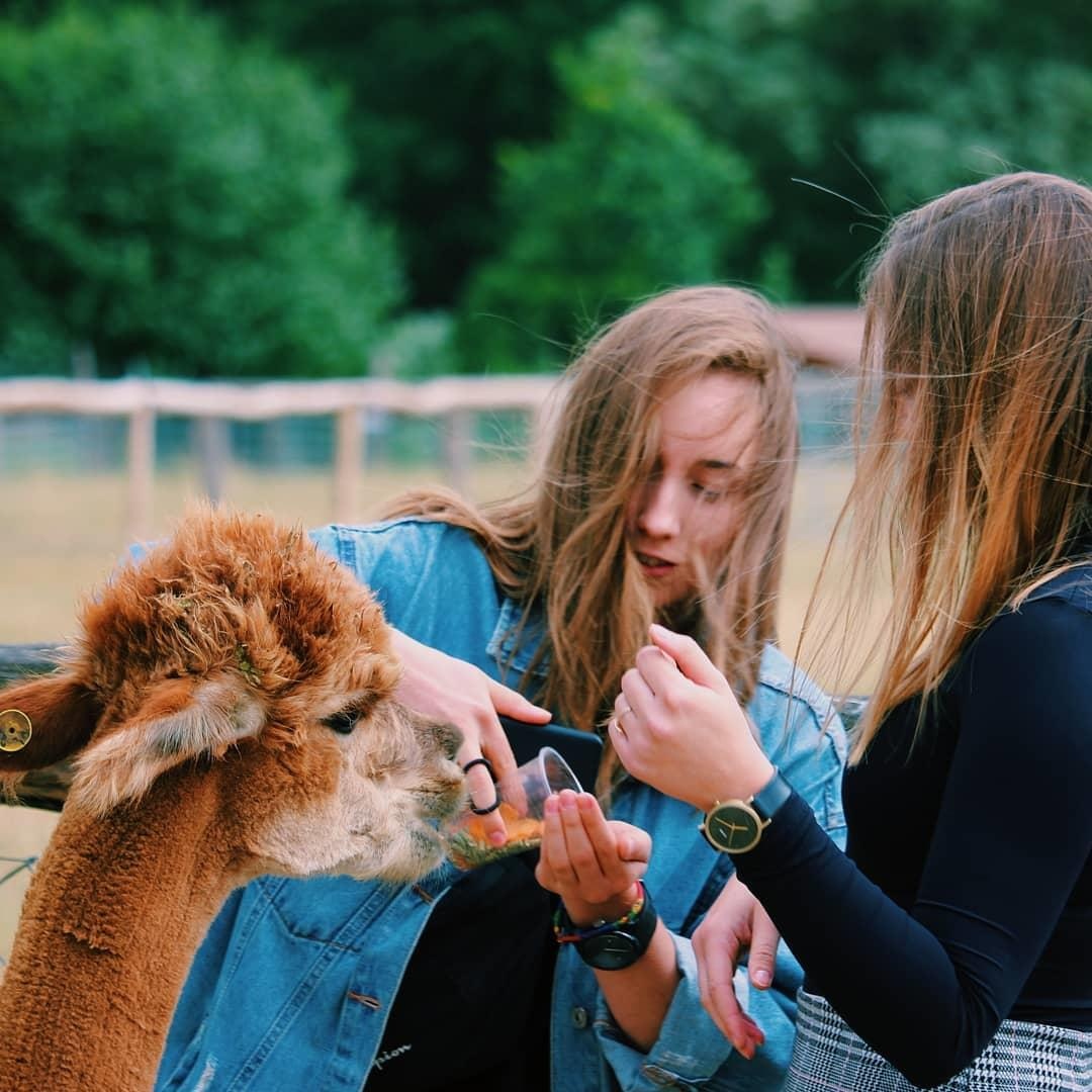 ca phe lac da Dai Loan anh 6