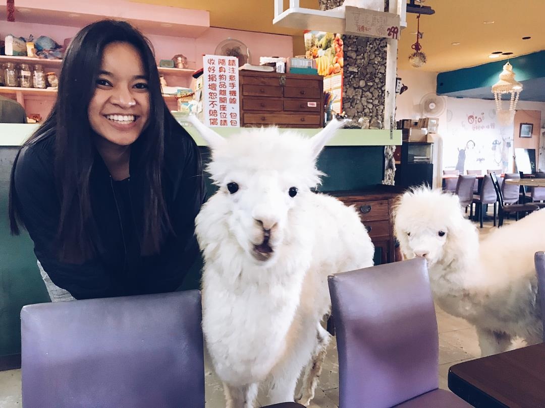 ca phe lac da Dai Loan anh 7