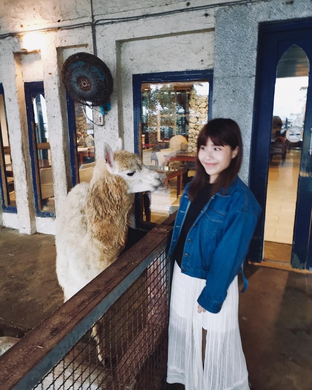 ca phe lac da Dai Loan anh 9