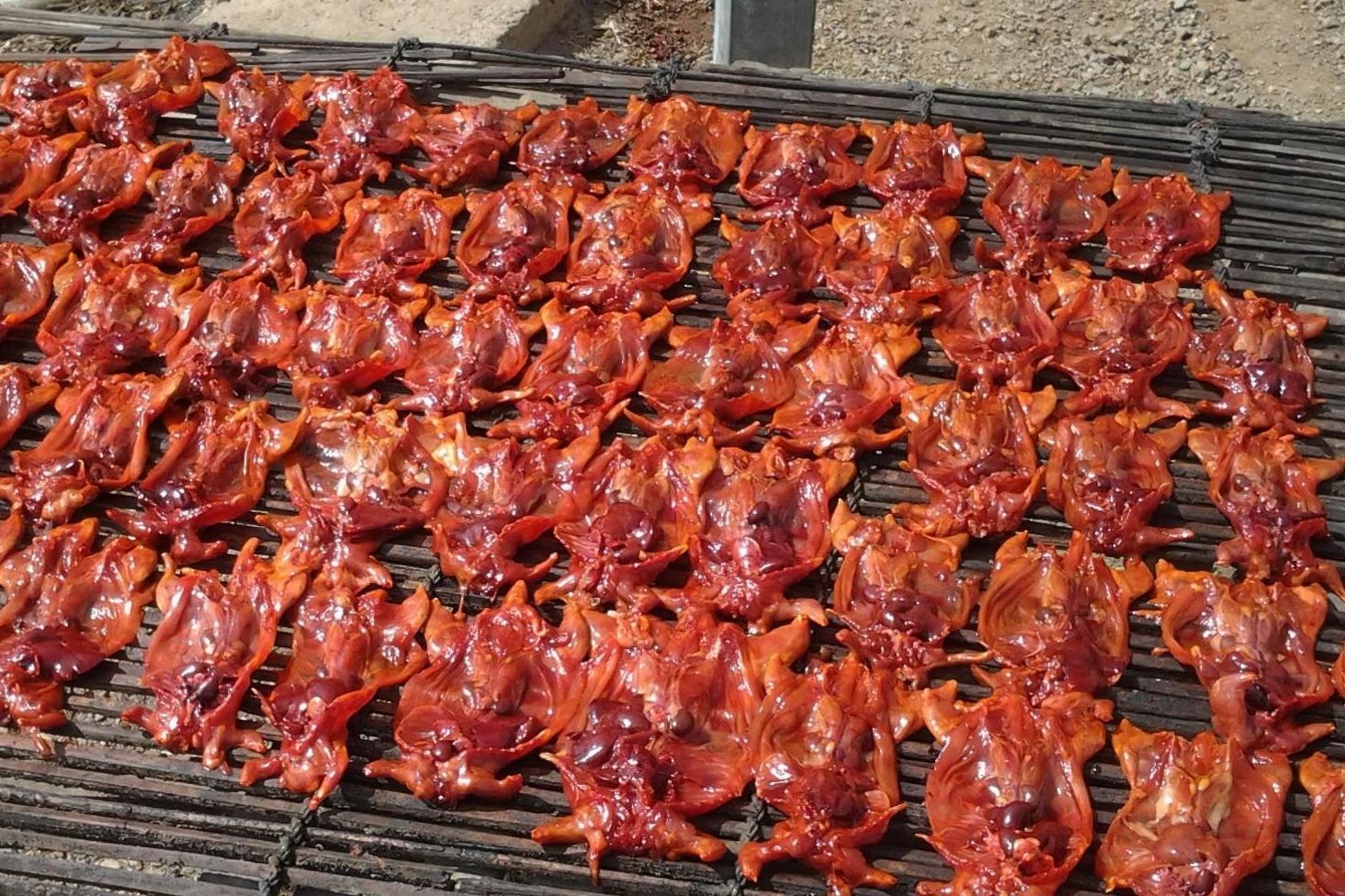 Vi sao thit chuot nuong duoc ua chuong tai Campuchia? hinh anh