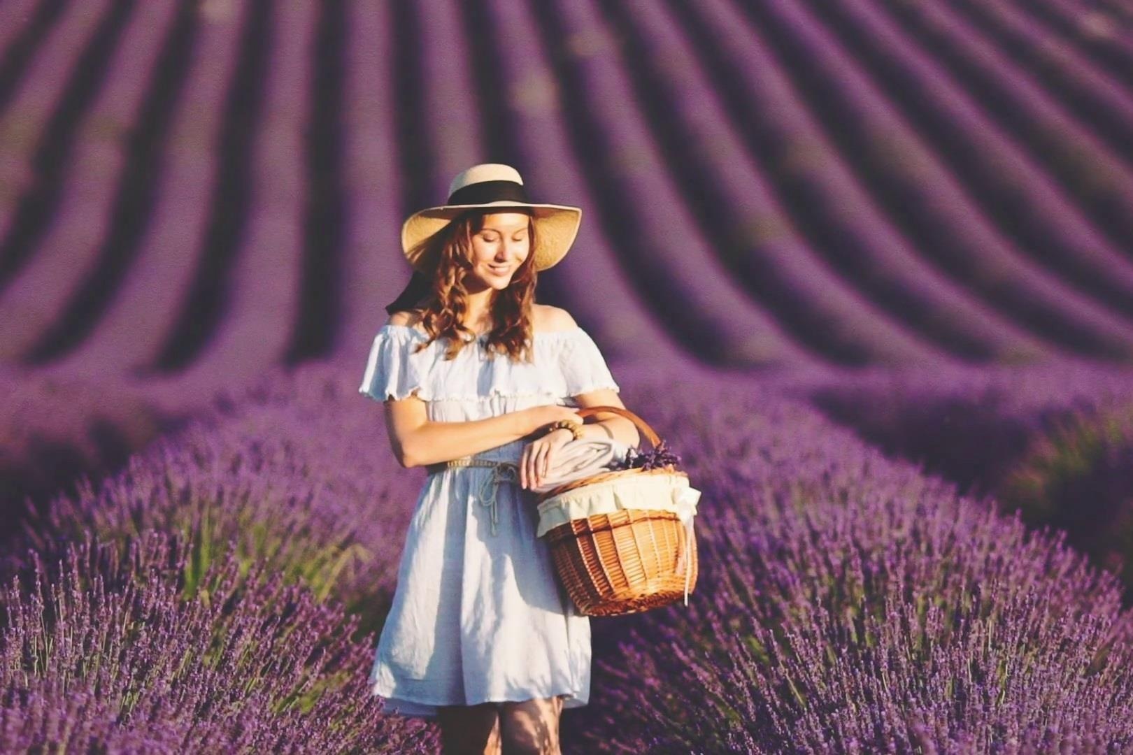 Canh dong hoa oai huong nhuom tim sac troi nuoc Phap hinh anh