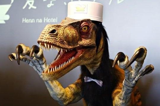 Khung long, ninja lam nhan vien phuc vu trong khach san Nhat Ban hinh anh