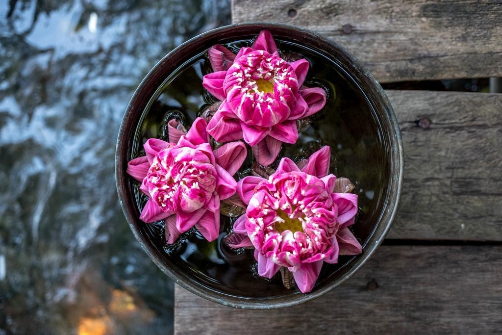 Khu nghi duong Song Saa anh 14