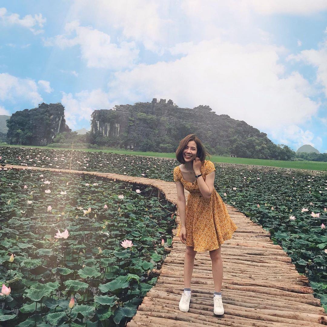 ho sen Hang Mua anh 4