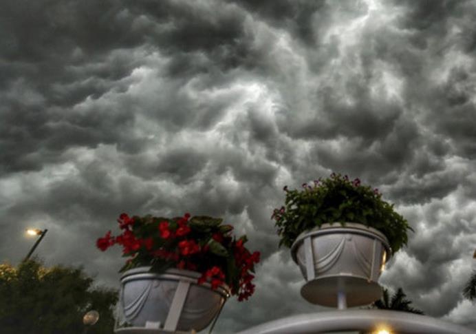 Dong bao hinh thanh nhu the nao? hinh anh