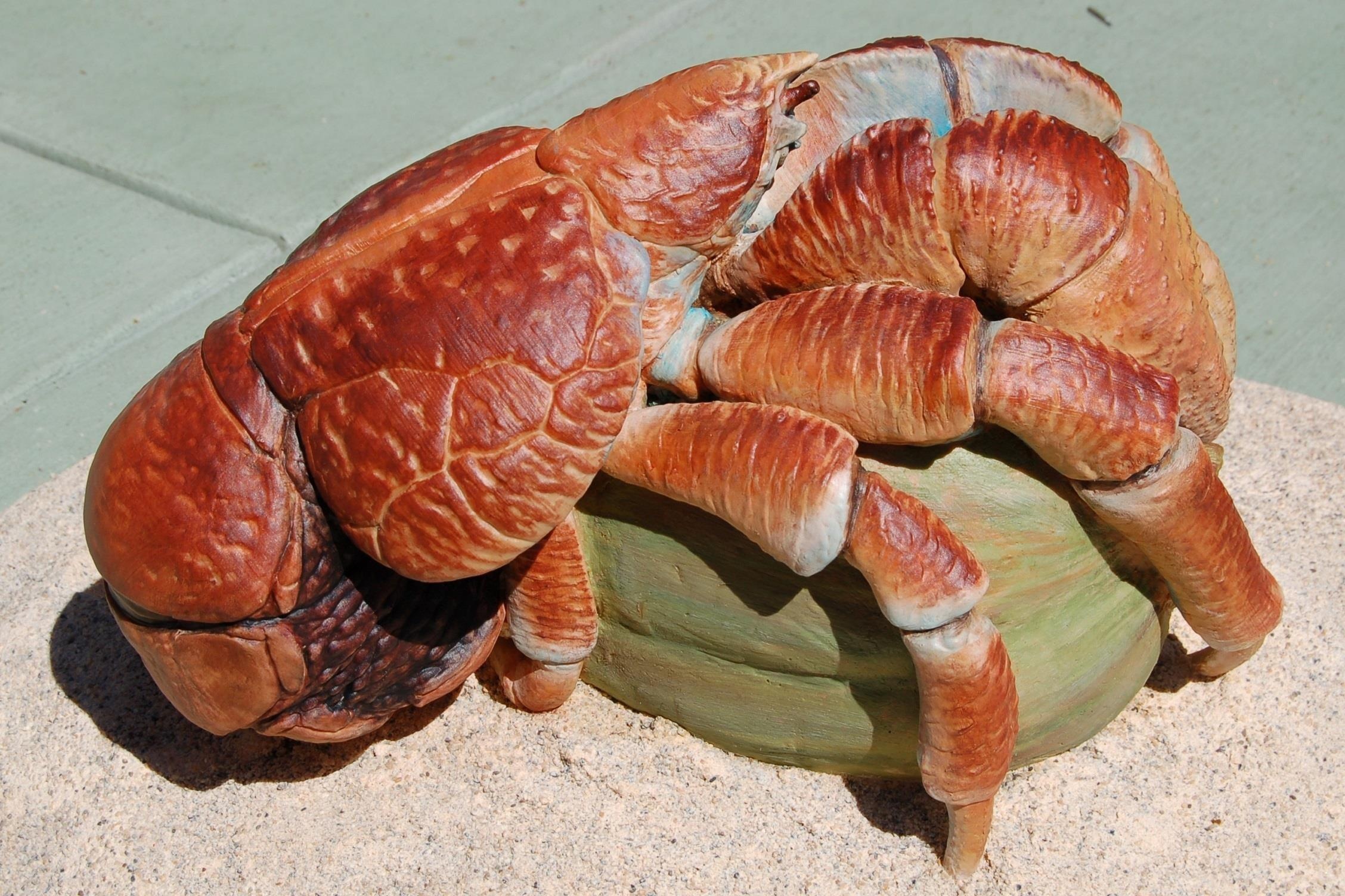 Dau bep day hap cua dua khong lo nang hon 4 kg hinh anh