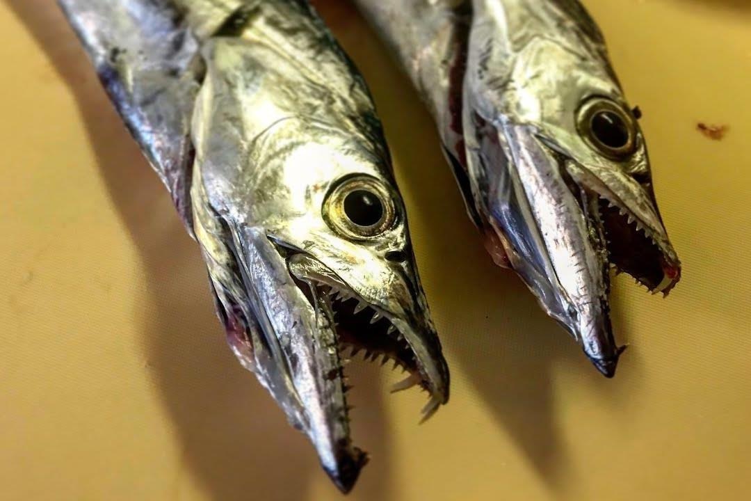 Dau bep che bien mon ca ho xau ma nhung ngon com hinh anh