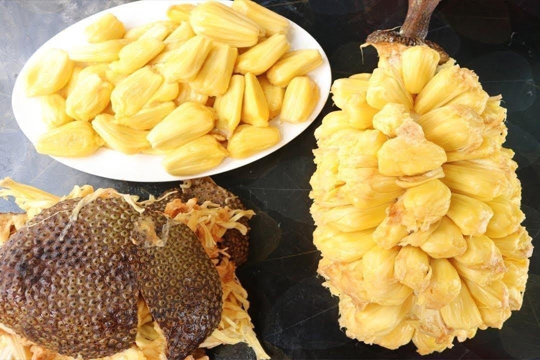 Meo bo mit nguyen qua sach ca vo va xo hinh anh