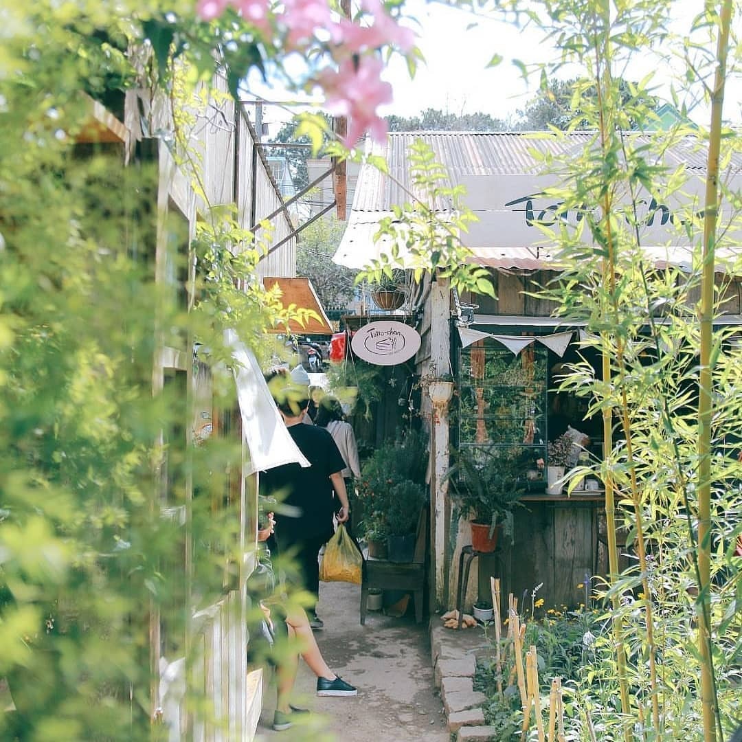 tiem banh totto-chan Da Lat anh 12