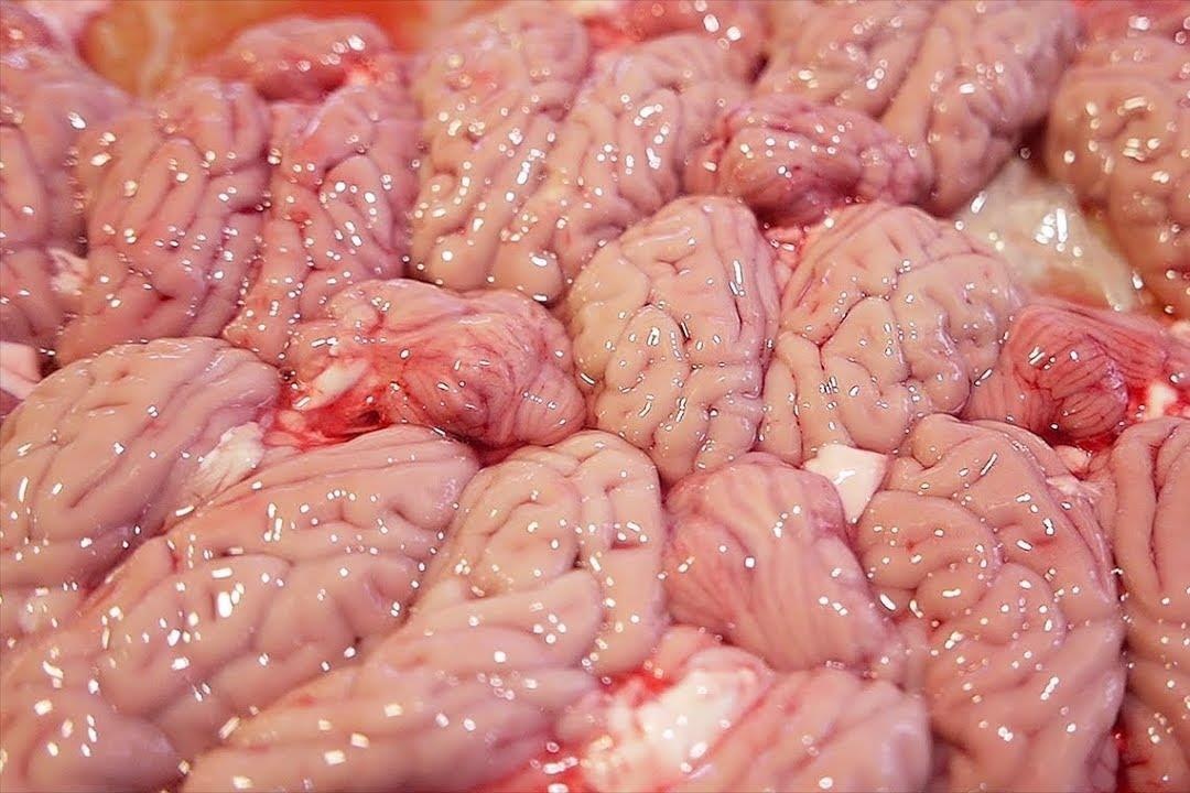 Mon oc heo ken nguoi an nhung pho bien o Dai Loan hinh anh