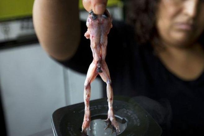 Loai do uong khong phai ai cung dam thu, duoc menh danh nhu Viagra hinh anh