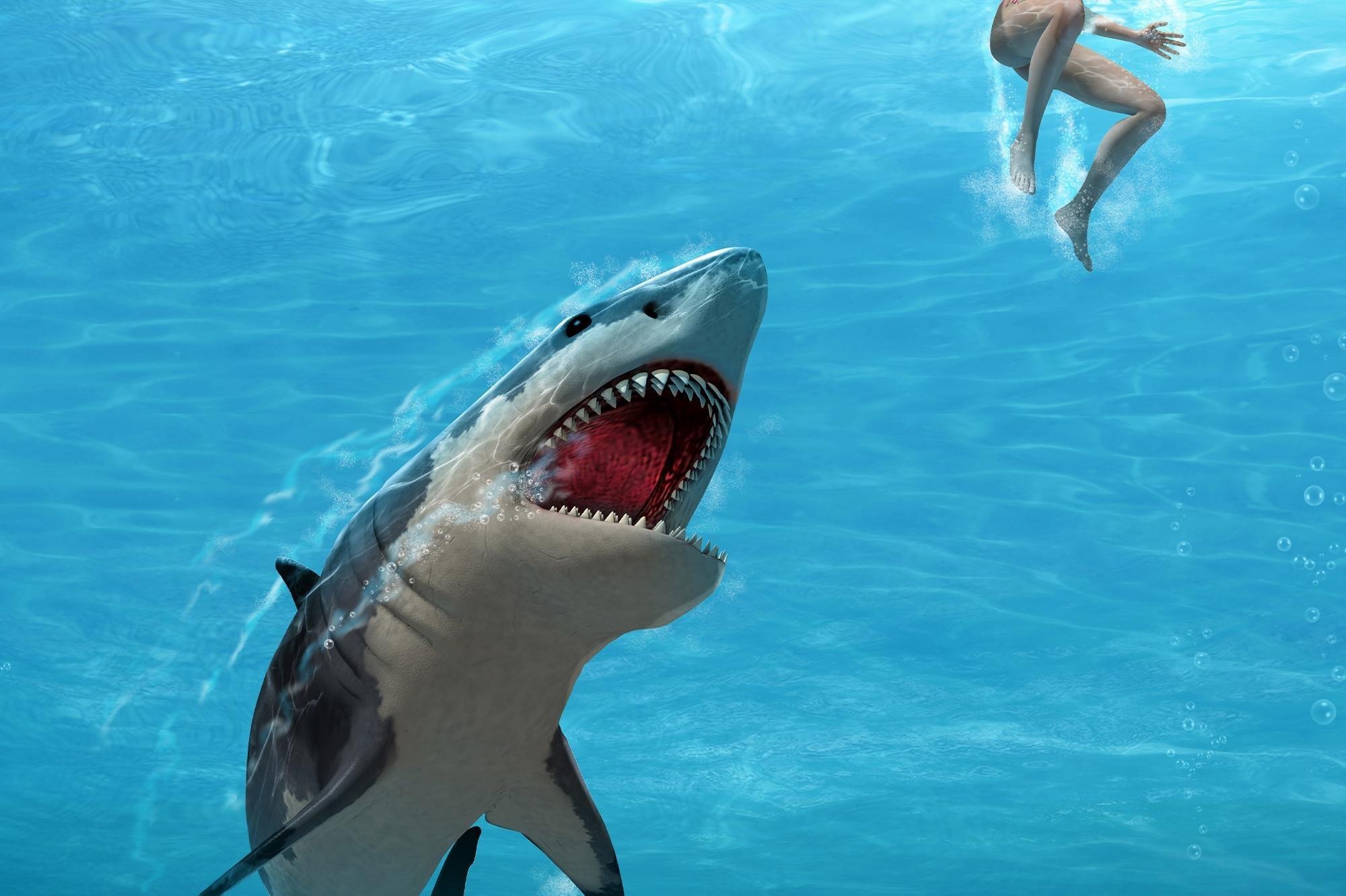 Ca map trang tan cong nhom tho lan hinh anh