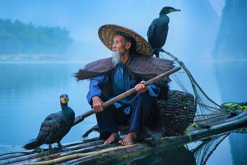 Nghe thuat cau ca bang chim coc tren dong Li Giang hinh anh