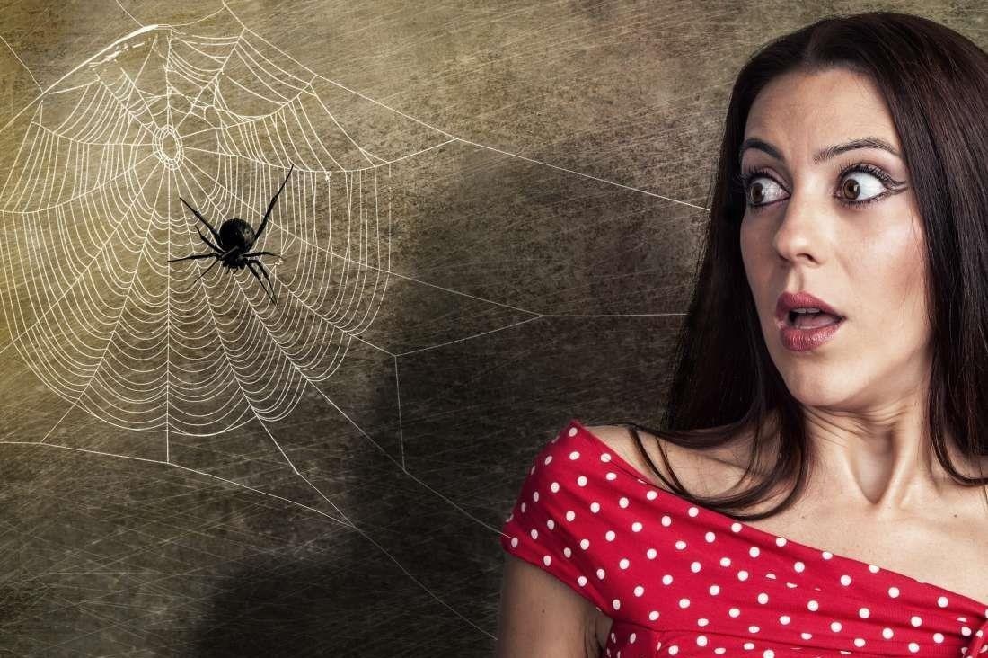 Vi sao ban khong nen giet nhen trong nha? hinh anh