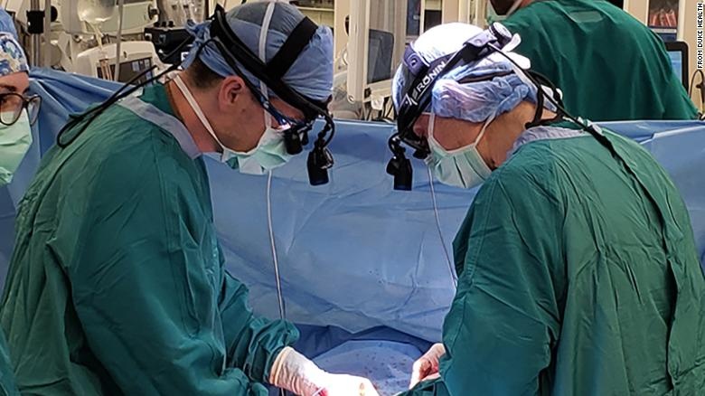 hồi sinh tim người chết ảnh 1 hoi sinh tim nguoi chet anh 1