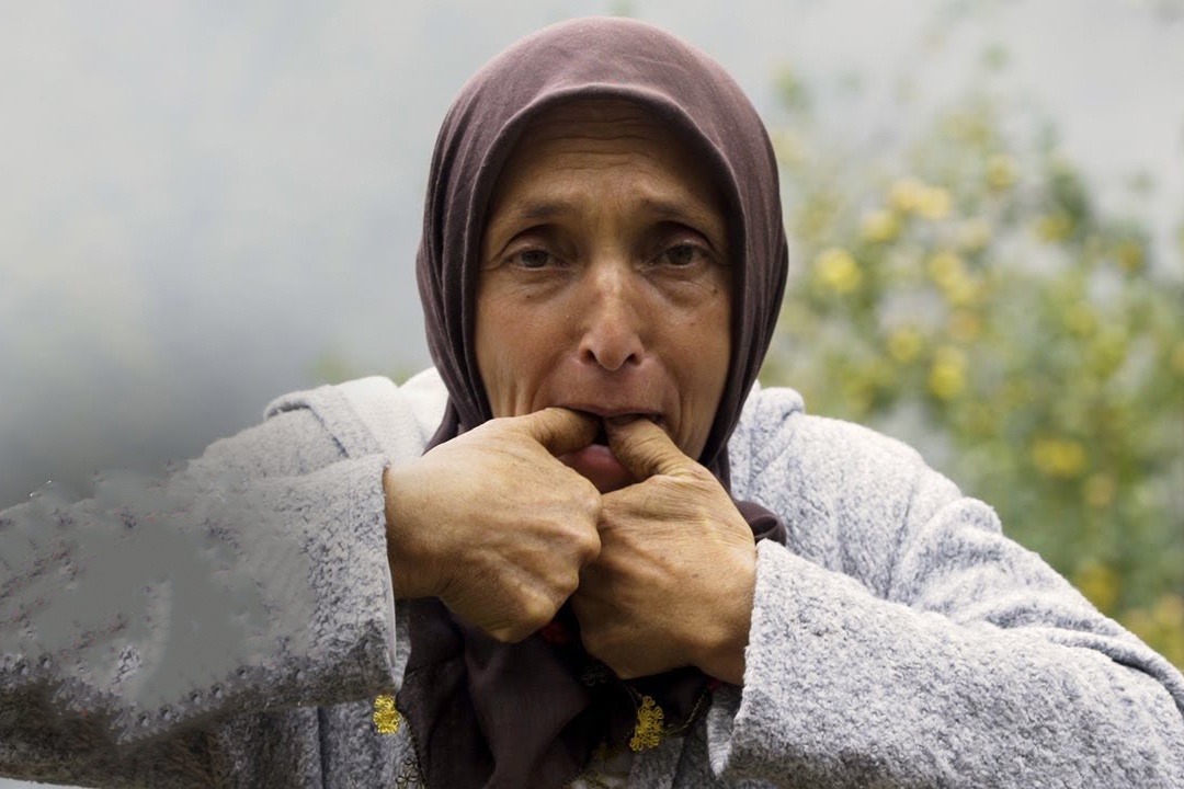 Ngoi lang su dung ngon ngu cua loai chim hinh anh