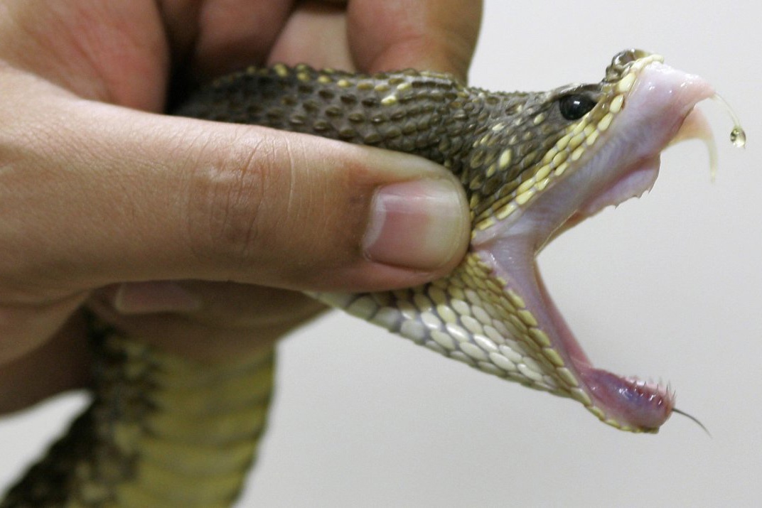 Phong thi nghiem chuyen lay noc ran doc hinh anh