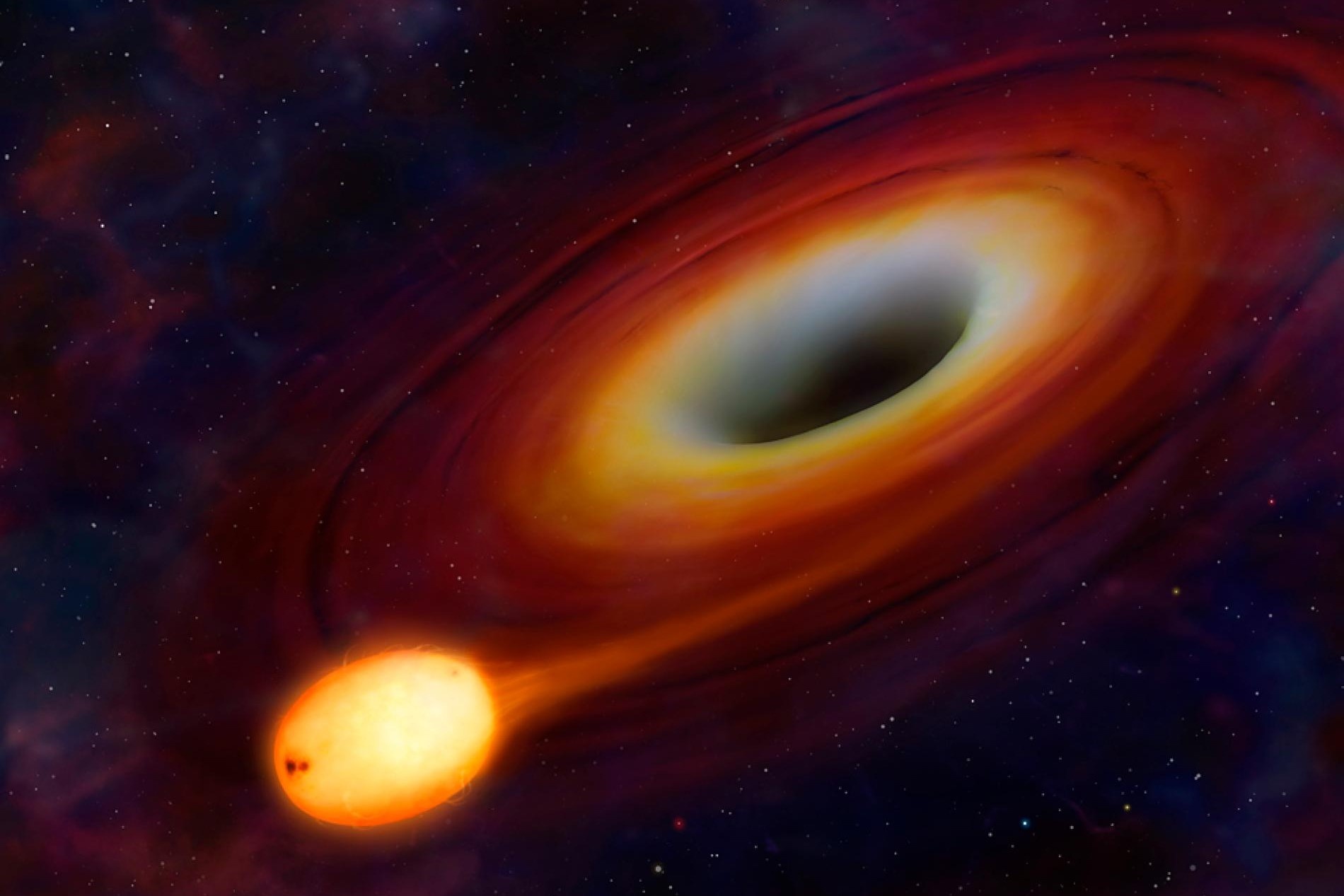 Dieu gi xay ra neu ngoi sao bi hut vao ho den? hinh anh