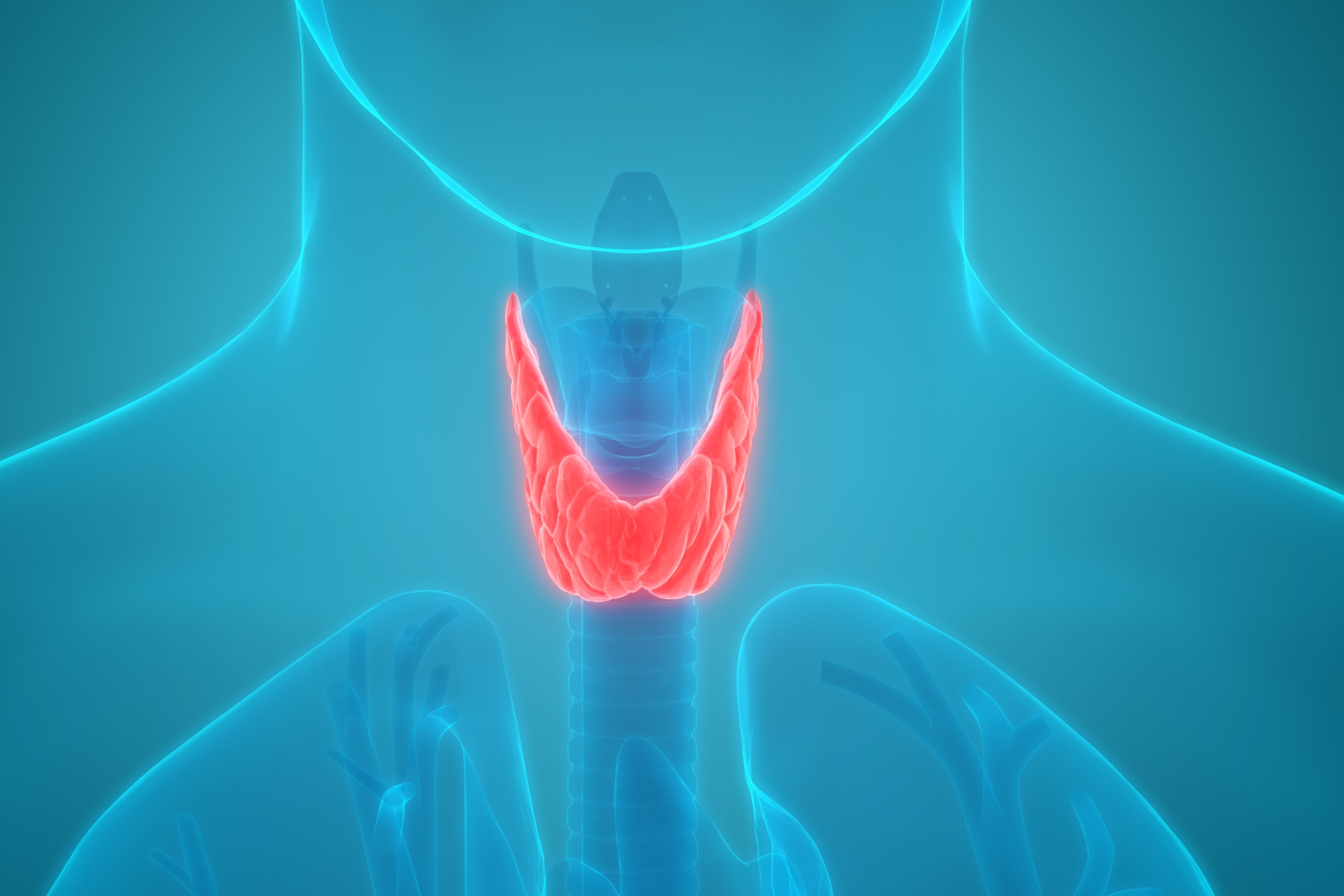 Tuyen giap anh huong the nao den can nang? hinh anh